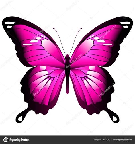 Bright Pink Butterfly Isolated White Background Vector Illustration