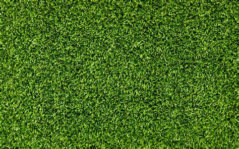 Green Grass Grass Texture 1080p Wallpaper Hdwallpaper Desktop