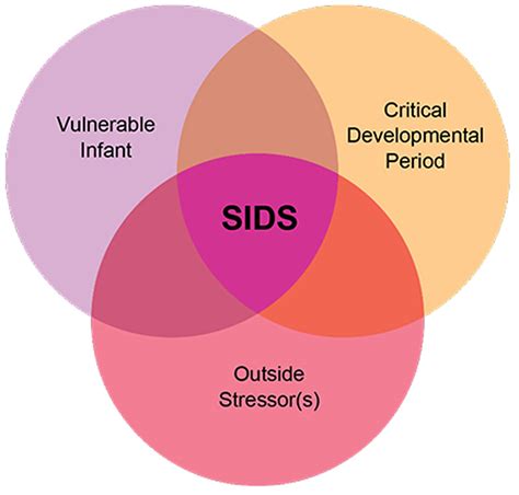 Sudden infant death syndrome causes, risk factors & prevention