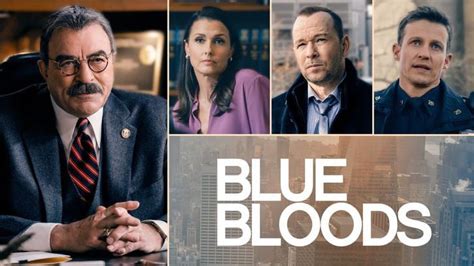 Blue Bloods The Complete Season 12 5 Disc2022 Dvd Box
