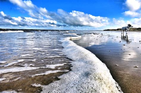 Formby beach number one in list of top 10 European picnic spots