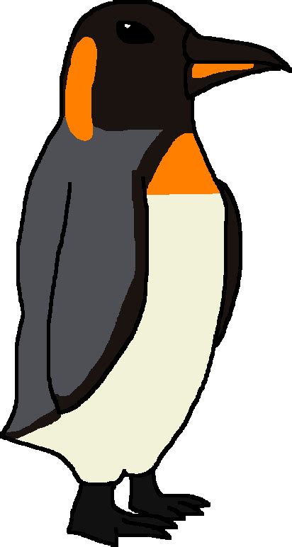 424 X 781 12 King Penguin Clipart Large Size Png Image Pikpng