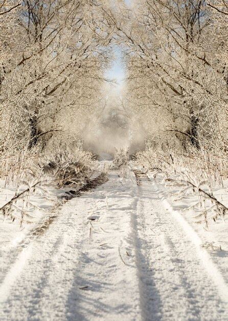 Premium Photo Winter Road In Snowy Frosty Forest Landscape