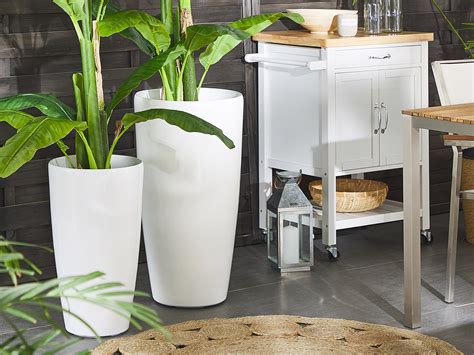 Vaso sospeso con fiori bianchi. Fiori Bianchi Da Vaso - Fiori Da Balcone Le Specie Piu Belle Ed Adatte Ad Essere Coltivate In ...