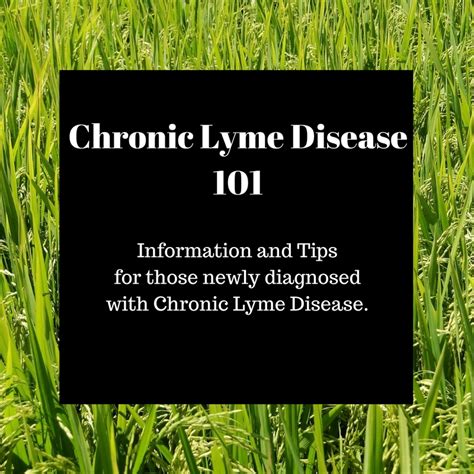 Chronic Lyme Disease 101 — Lyme Warrior