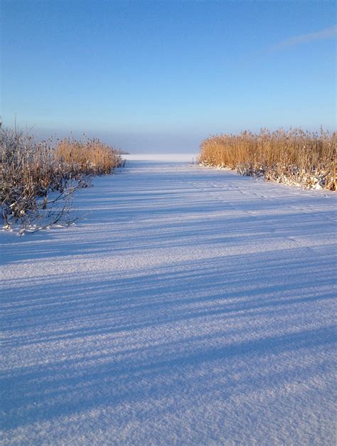 Free Images Sea Grass Rock Cold Winter Field Meadow Shore