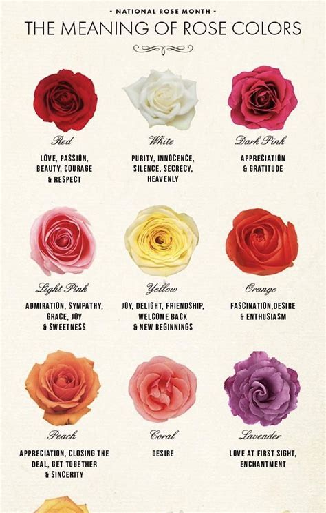 Meaning Of Your Favorite Rose Colors Rose Color Meanings Flower Meanings Language Of Flowers