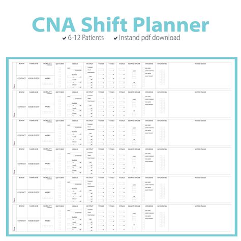 CNA Brain Sheet - Etsy