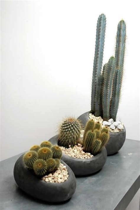 25 Cactus Home Decor Ideas