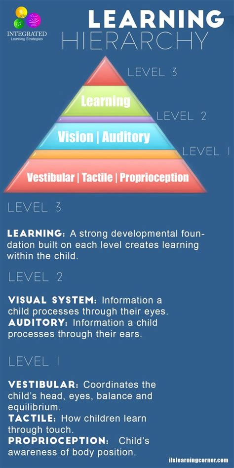 Sensory Systems That Make Up The Learning Hierarchy Of A Strong