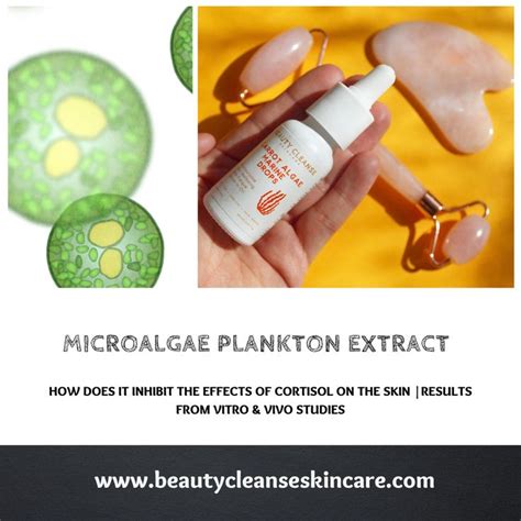 Microalgae Plankton Extract How Does It Inhibit The Effects Of Cortisol On The Skin Cortisol