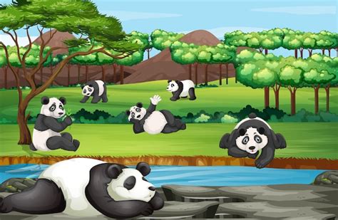 Free Vector Scene With Many Pandas At The Open Zoo