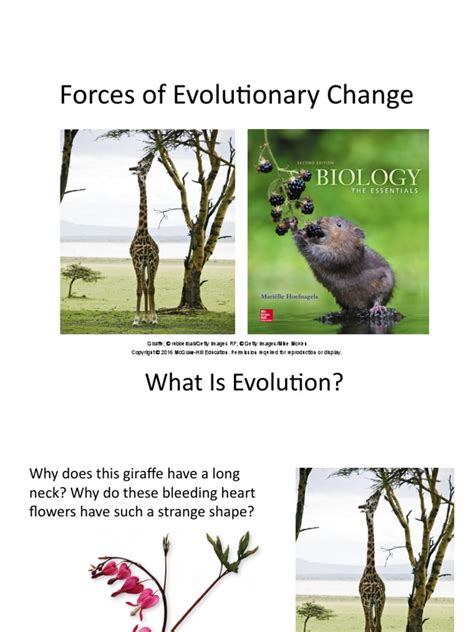 Evolution Pdf Natural Selection Sexual Selection