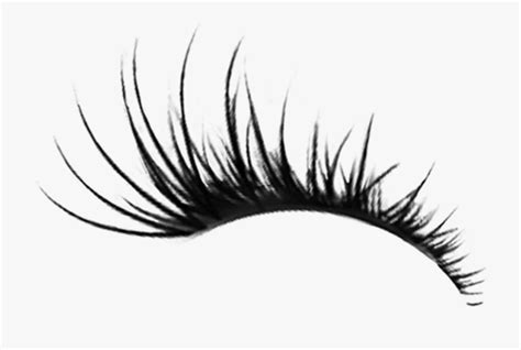 Cartoon Eyelashes Clipart 10 Free Cliparts Download Images On