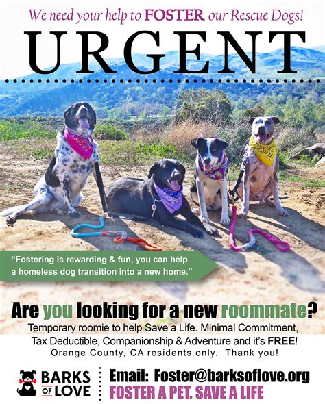 Foster - Barks of Love Animal Rescue