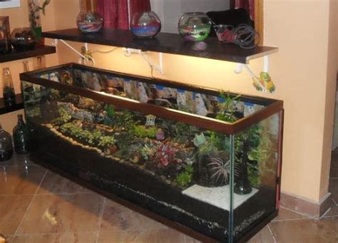 If you like the idea then maybe you'd like to repurpose some old windows in a similar way. 8 DIY Fish Tank Planter & Terrarium Ideas | Balcony Garden Web