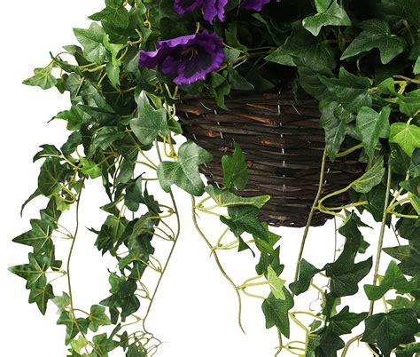 Trailing plants, they're perfect for planting at the edge of a basket, where their. Artificial yellow and purple trailing hanging basket - The ...