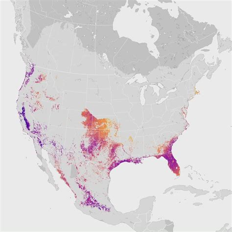 Marsh Wren Abundance Animation Ebird Status And Trends