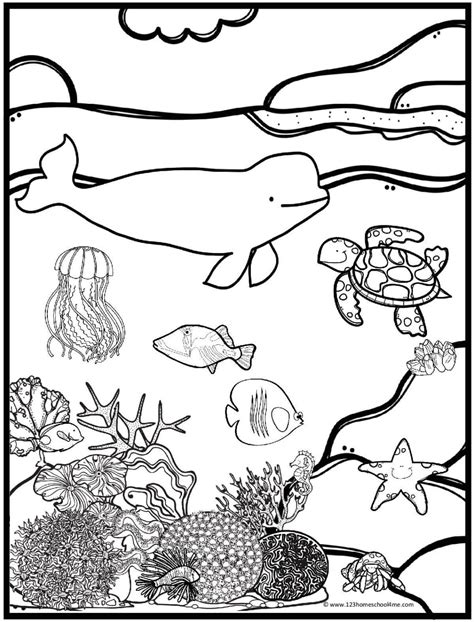 🐳 Free Printable Ocean Coloring Pages