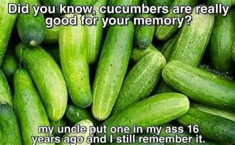 Fun Fact About Cucumbers Meme Guy