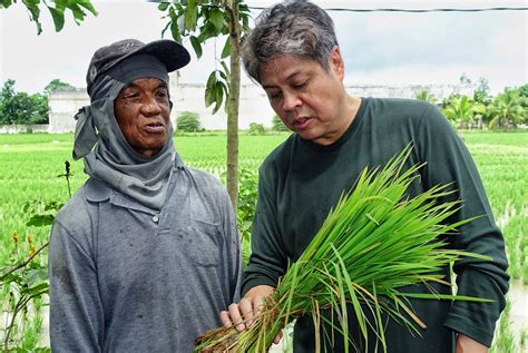 Year In Review Pangilinan Leaves Senate With Solid Agricultural Good