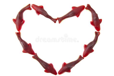 Shark Heart Royalty Free Stock Images Image 25381979