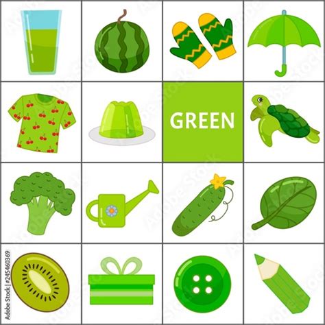 Learn The Primary Colors Green Different Objects In Green Color