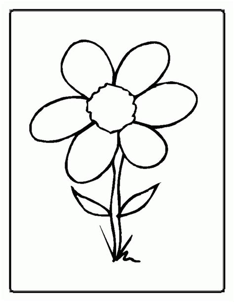 Parts Of A Plant Coloring Page Coloring Home