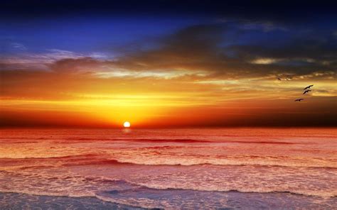 Free Download Sunset Beach Wallpapers 1920x1200 For Your Desktop Mobile And Tablet Explore 73