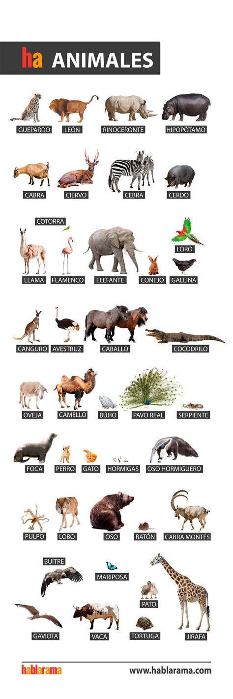 Animal Names In Spanish Free Posters