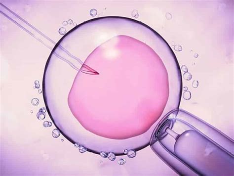 New Hope Fertility Center Embryoglue ¡mejora La Implantación New