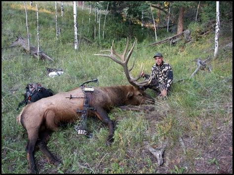 As far as weight goes, earth is a pretty hefty celestial body. What Is The Average Weight Of A Cow Elk - All About Cow Photos