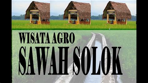 Wisata Agro Sawah Solok Youtube