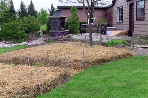 The size of your bed is important as it will determine your pain threshold as it relates to costs! Sheet Mulching - Follow This Advice For The Best Mulch