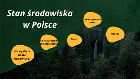 Stan środowiska w Polsce by Natalia Ciesielska