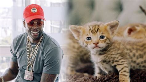 Watch 2 Chainz Plays With 165000 Kittens Most Expensivest Shit Gq