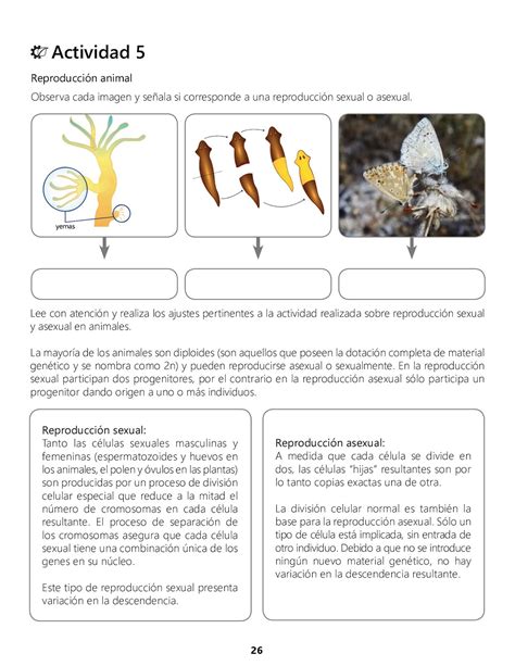 Ciencias Naturales Grado Octavo