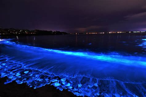 Jervis Bay At Its Best As Bioluminescence Puts On A Show South Coast