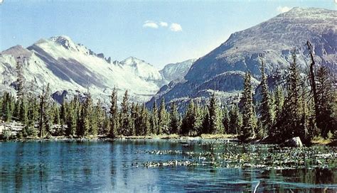 Writerquake Old Postcard Wednesday Longs Peak From Nymph