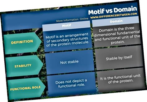 Karena protein kejutan panas diproduksi oleh tubuh hanya dalam situasi tertentu, mereka memiliki sejumlah perbedaan dari senyawa yang diproduksi secara normal. Perbedaan Antara Motif dan Domain