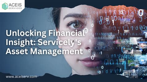 Unlocking Financial Insight Servicelys Asset Management