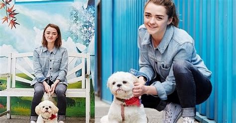 White Wolf Maisie Williams Donates £50000 To Animal Rescue Centre