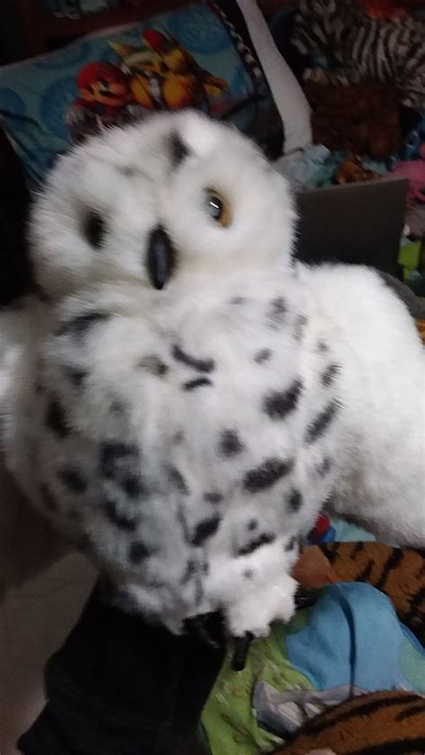 Snowy Owl Puppet In 2021 Baby Einstein Snowy Owl Puppets