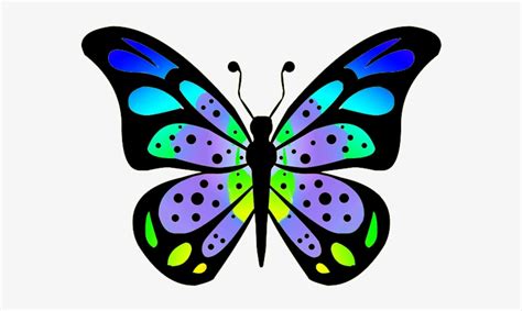 Color Butterfly Drawing Images Butterfly Butterfly Coloring Page