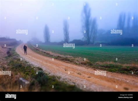 Rural Path Woman Walking Hi Res Stock Photography And Images Alamy
