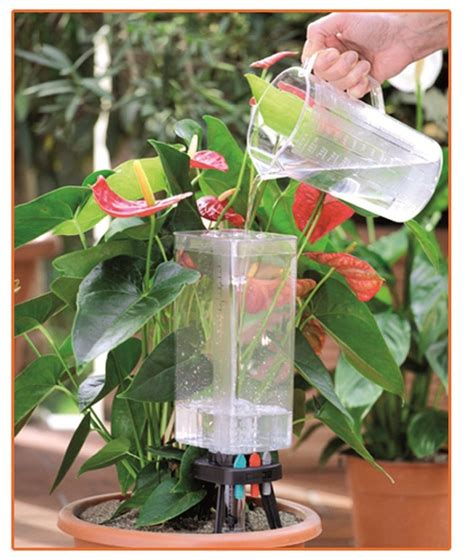 A Vision Towards Different Watering Systems Used In