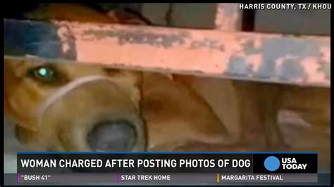 Woman Arrested After Posting Photos Of Dog Online