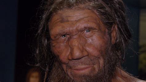 Neanderthals Humans Had Long Period Of Overlap