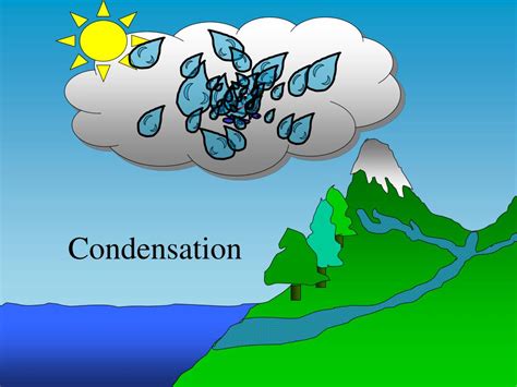 Ppt Water Cycle Powerpoint Presentation Free Download Id3026285