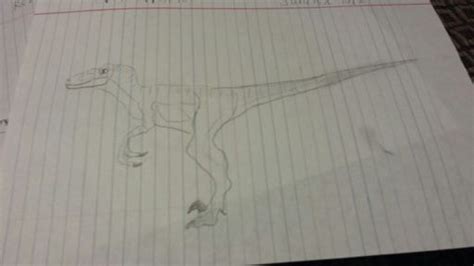 Dinosaur Drawing 17 Velociraptor Prehistoric Amino Amino
